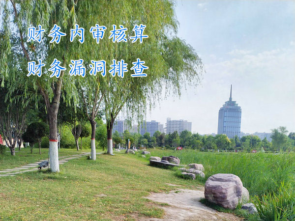 鄭州企業(yè)財(cái)務(wù)內(nèi)審,鄭州公司內(nèi)部審計(jì)