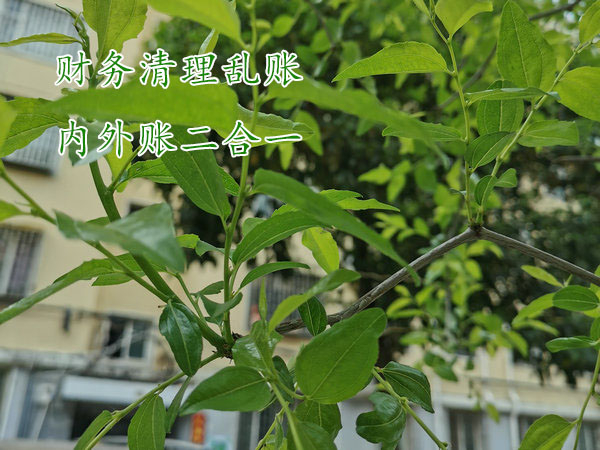 鄭州清理亂賬,鄭州清理企業(yè)賬目