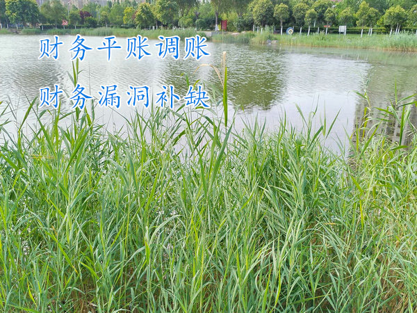 鄭州財(cái)務(wù)平賬,鄭州財(cái)務(wù)調(diào)賬