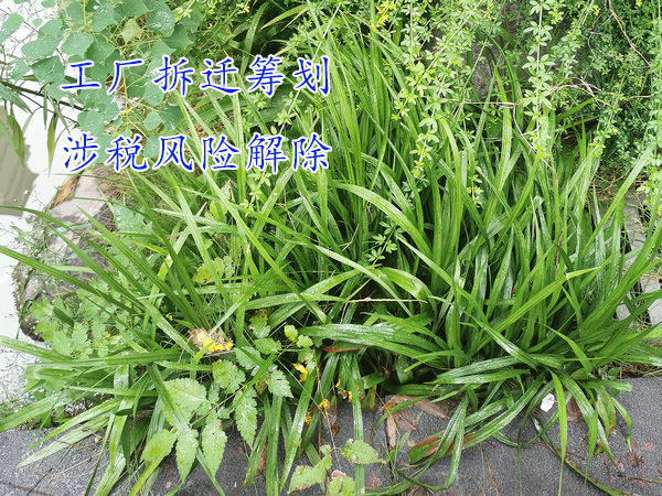 鄭州企業(yè)搬遷涉稅籌劃,鄭州工廠拆遷涉稅規(guī)劃